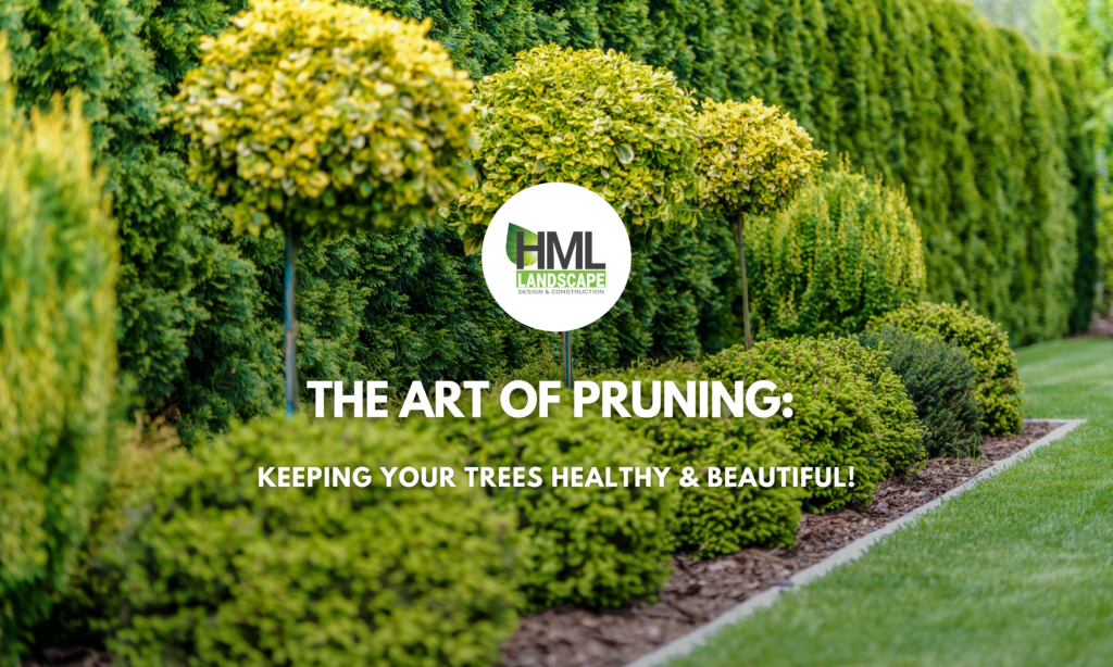 The Art of Pruning: Keeping Your Trees Healthy and Beautiful