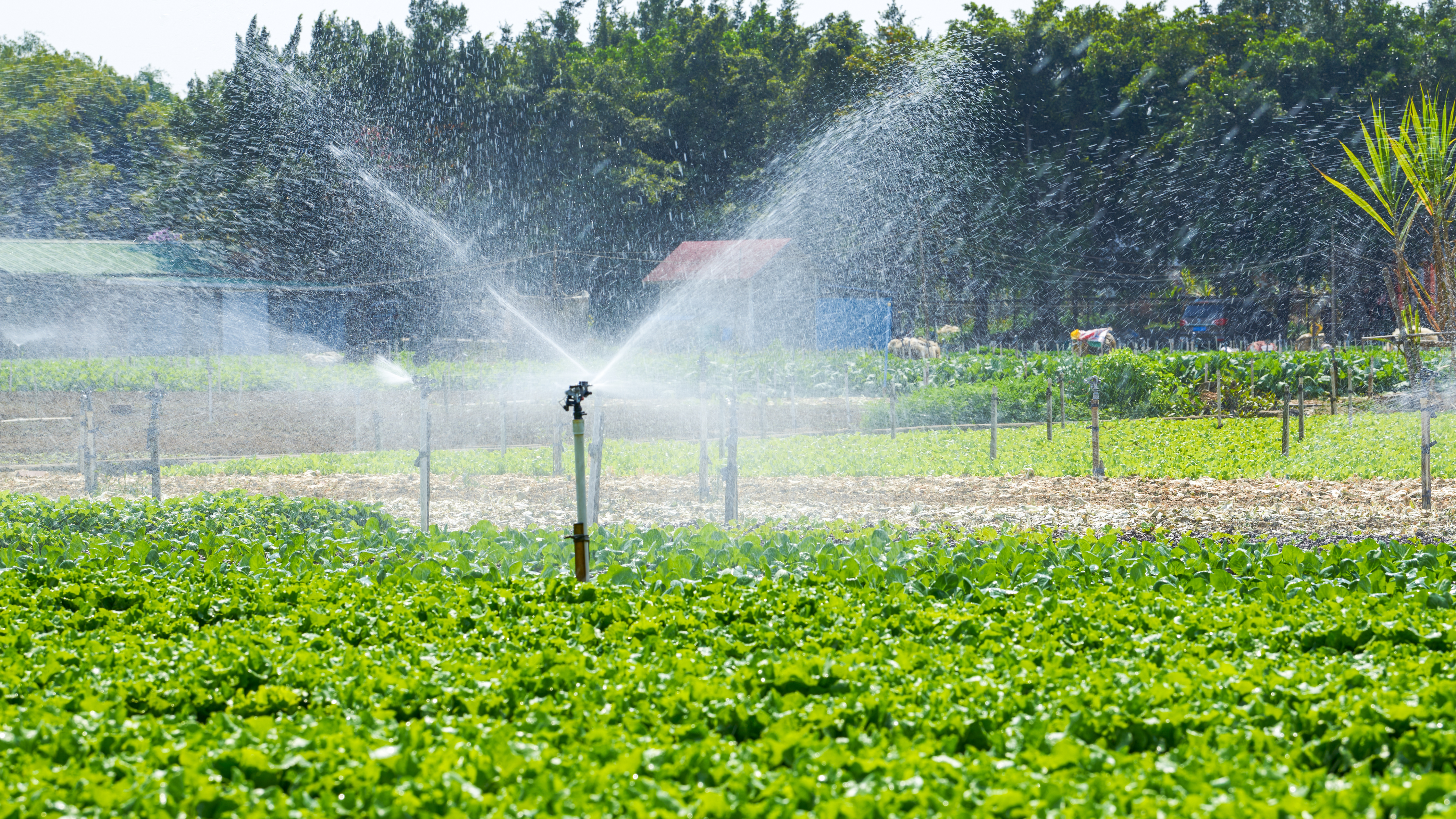 Irrigation Systems