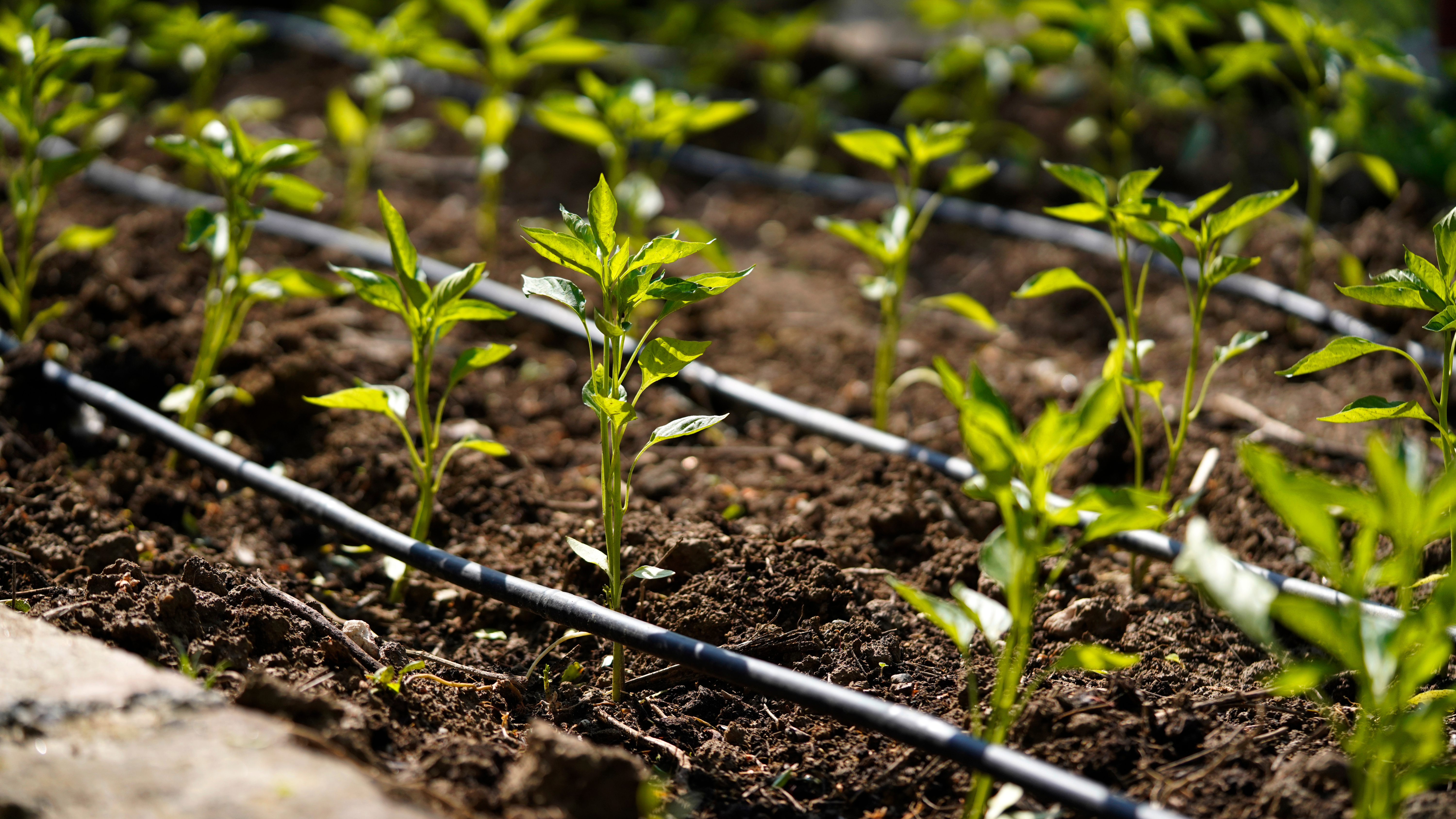 Irrigation Systems